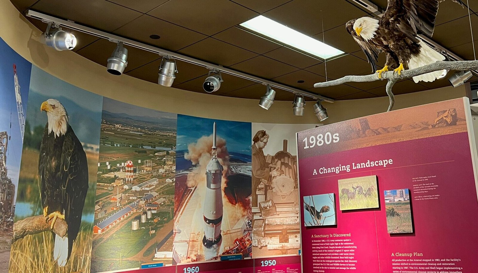 An Engaging Journey Through American History: A Timeline for Kids from Columbus to Today